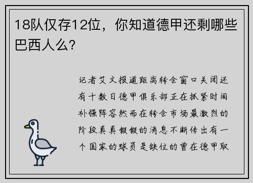 18队仅存12位，你知道德甲还剩哪些巴西人么？